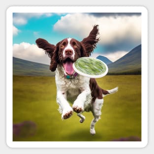 English Springer Spaniel Catches "Throwing Disc" Magnet